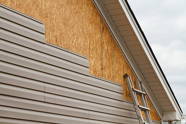 Professional Siding Contractor technician working in Proctor, WV
